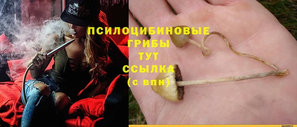 индика Корсаков