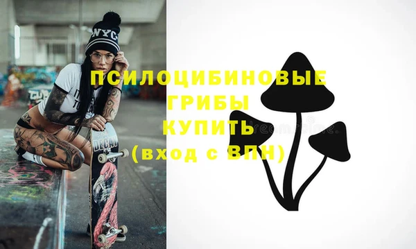 стаф Козельск