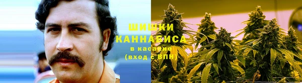 сатива Коряжма