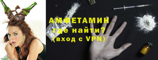 сатива Коряжма
