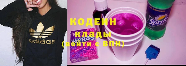 дурь Кодинск
