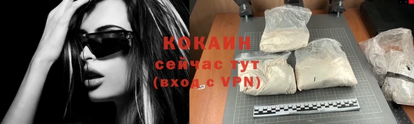 стаф Козельск