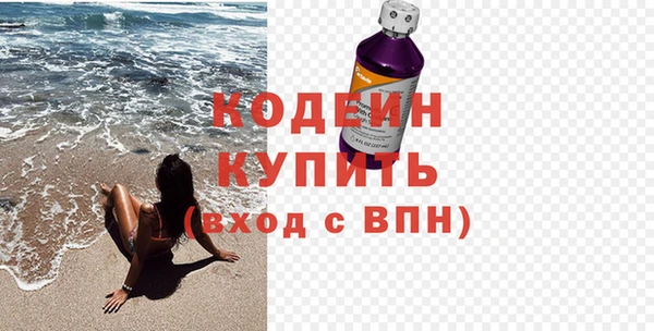 индика Корсаков