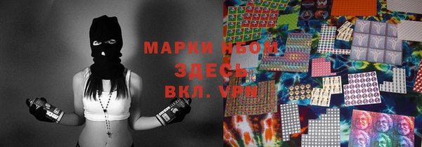 индика Корсаков