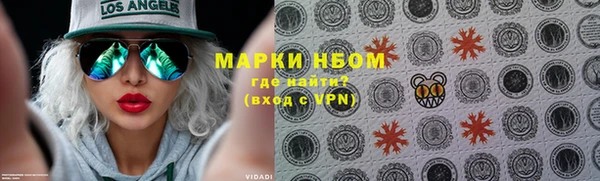 стаф Козельск