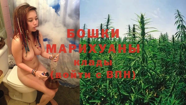 стаф Козельск