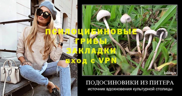 дурь Кодинск